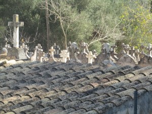 IMG_5092 (Medium)